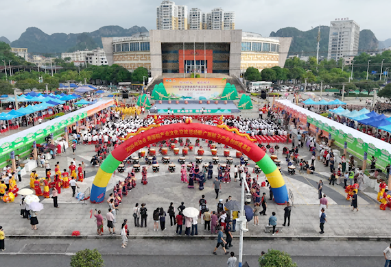媒体全方位聚焦 群众沉浸式点赞：我校主办的2026年壮乡寿源粽产业文化活动圆满落幕广受好评